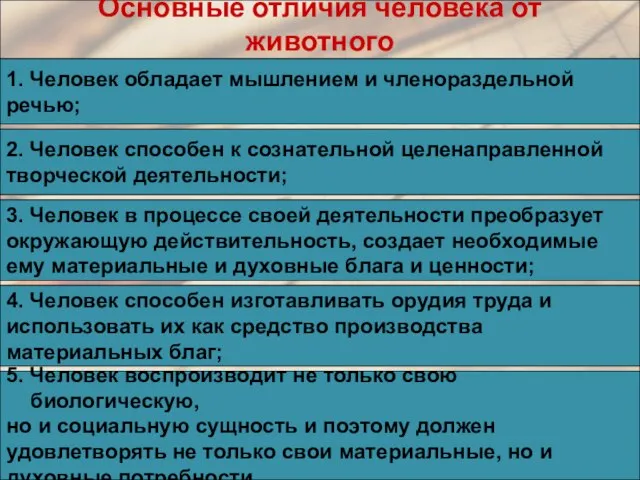 Основные отличия человека от животного 1. Человек обладает мышлением и членораздельной речью;