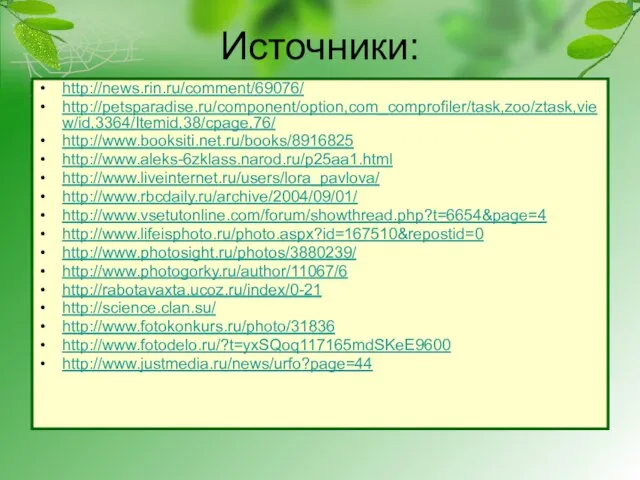 Источники: http://news.rin.ru/comment/69076/ http://petsparadise.ru/component/option,com_comprofiler/task,zoo/ztask,view/id,3364/Itemid,38/cpage,76/ http://www.booksiti.net.ru/books/8916825 http://www.aleks-6zklass.narod.ru/p25aa1.html http://www.liveinternet.ru/users/lora_pavlova/ http://www.rbcdaily.ru/archive/2004/09/01/ http://www.vsetutonline.com/forum/showthread.php?t=6654&page=4 http://www.lifeisphoto.ru/photo.aspx?id=167510&repostid=0 http://www.photosight.ru/photos/3880239/ http://www.photogorky.ru/author/11067/6 http://rabotavaxta.ucoz.ru/index/0-21 http://science.clan.su/ http://www.fotokonkurs.ru/photo/31836 http://www.fotodelo.ru/?t=yxSQoq117165mdSKeE9600 http://www.justmedia.ru/news/urfo?page=44