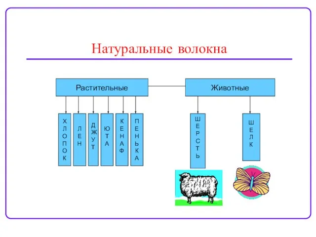 Натуральные волокна Растительные Х Л О П О К Л Е Н