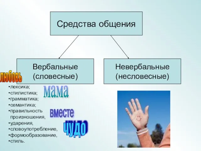 лексика; стилистика; грамматика; семантика; правильность произношения, ударения, словоупотребление, формообразование, стиль. любовь чудо мама вместе