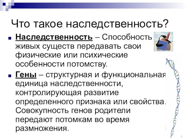 Что такое наследственность? Наследственность – Способность живых существ передавать свои физические или