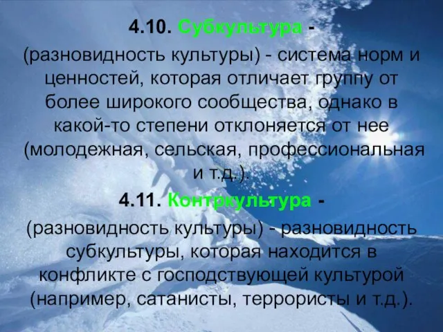 4.10. Субкультура - (разновидность культуры) - система норм и ценностей, которая отличает