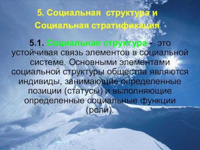 5. Социальная структура и Социальная стратификация 5.1. Социальная структура - это устойчивая