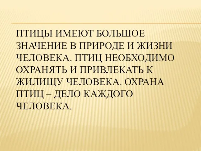 Птицы имеют большое значение в природе и жизни человека. Птиц необходимо охранять