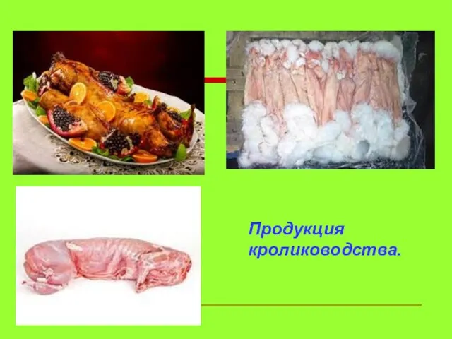 Продукция кролиководства.