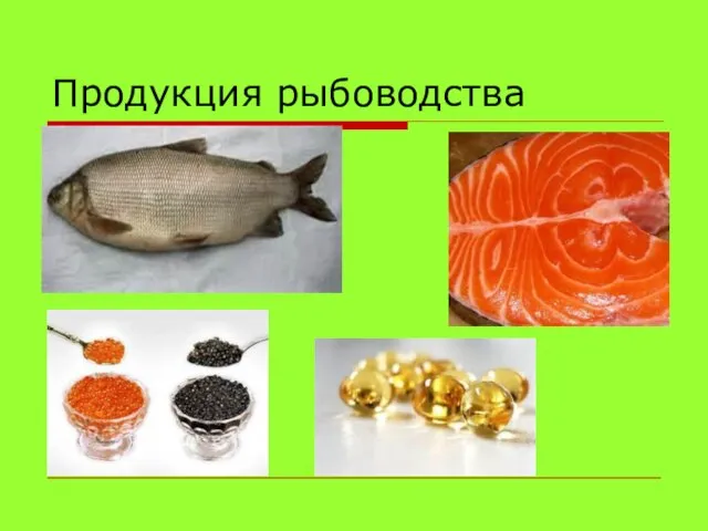 Продукция рыбоводства