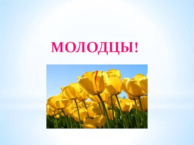 МОЛОДЦЫ!