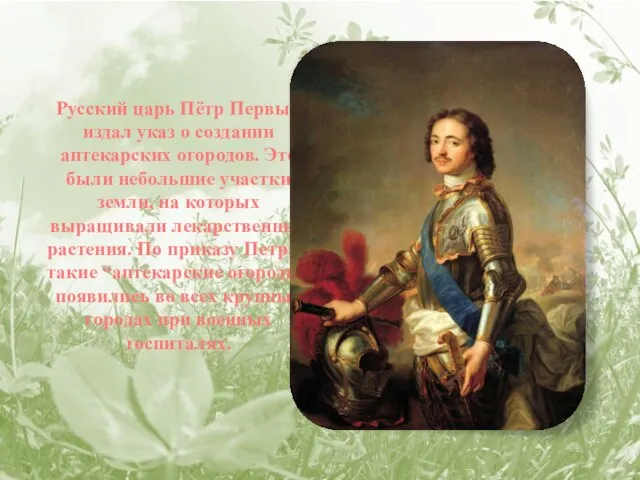 Русский царь Пётр Первый издал указ о создании аптекарских огородов. Это были