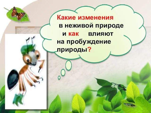 Какие изменения в неживой природе и как влияют на пробуждение природы?