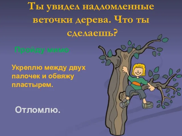 Ты увидел надломленные веточки дерева. Что ты сделаешь? Пройду мимо Укреплю между