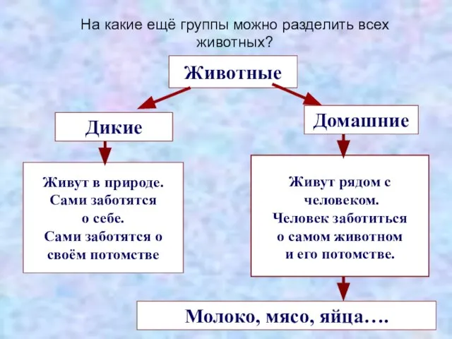 Животные Дикие Домашние Живут в природе. Сами заботятся о себе. Сами заботятся