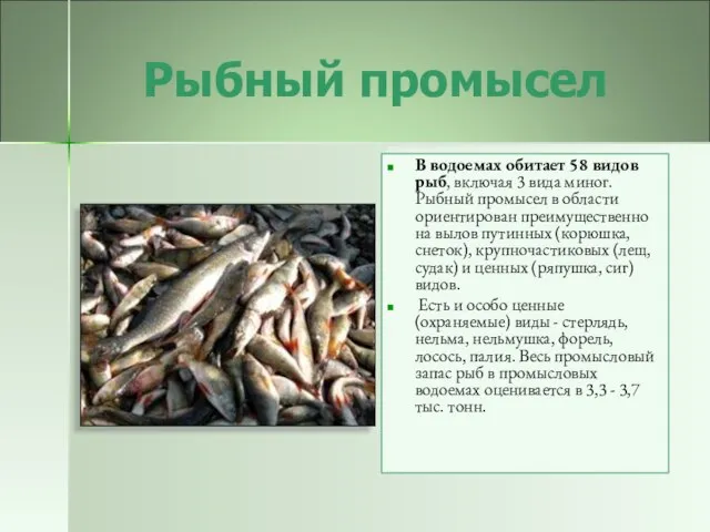 Рыбный промысел В водоемах обитает 58 видов рыб, включая 3 вида миног.