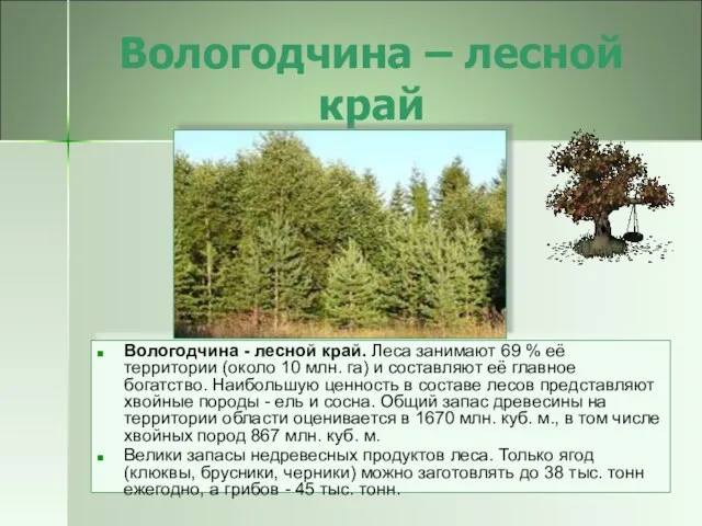 Вологодчина – лесной край Вологодчина - лесной край. Леса занимают 69 %