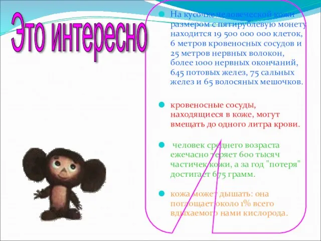 На кусочке человеческой кожи размером с пятирублевую монету находится 19 500 000