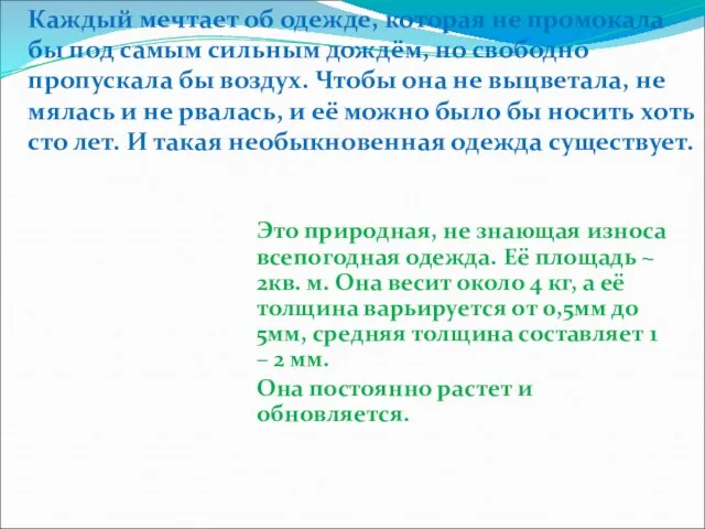 Каждый мечтает об одежде, которая не промокала бы под самым сильным дождём,