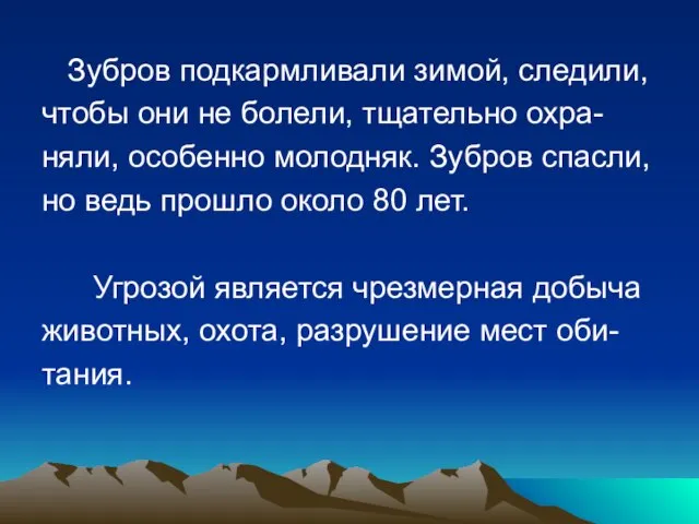 Зубров подкармливали зимой, следили, чтобы они не болели, тщательно охра- няли, особенно