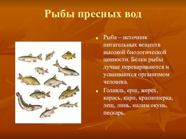 Рыбы пресных вод Рыба – источник питательных веществ высокой биологической ценности. Белки
