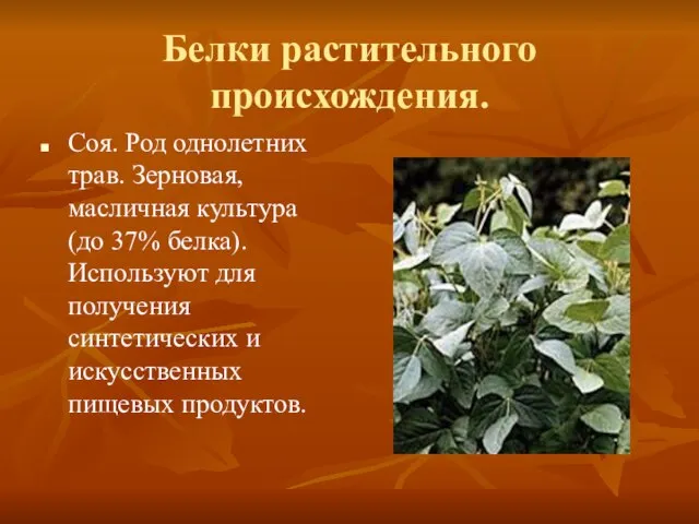 Белки растительного происхождения. Соя. Род однолетних трав. Зерновая, масличная культура (до 37%