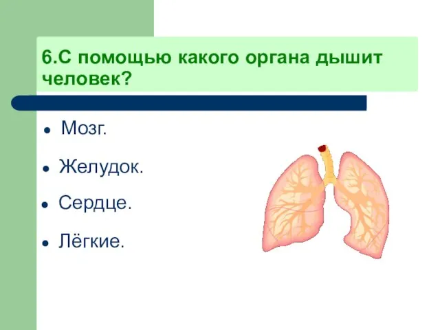 6.С помощью какого органа дышит человек? Мозг. Желудок. Сердце. Лёгкие.