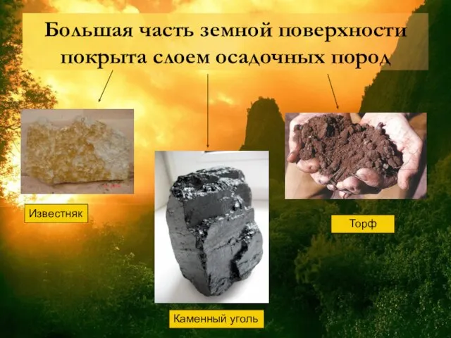 Большая часть земной поверхности покрыта слоем осадочных пород Известняк Каменный уголь Торф
