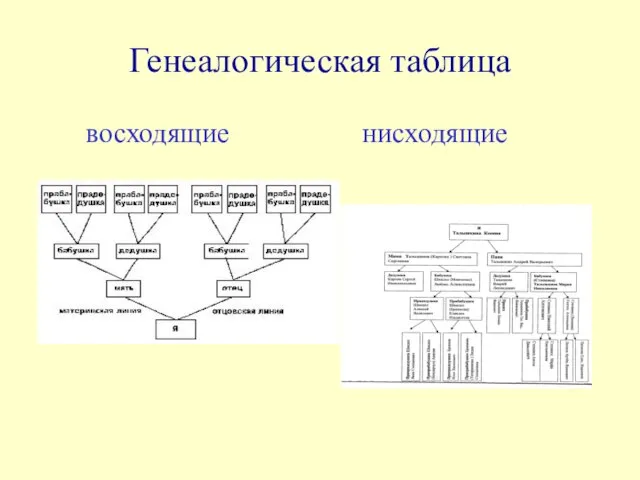 Генеалогическая таблица восходящие нисходящие