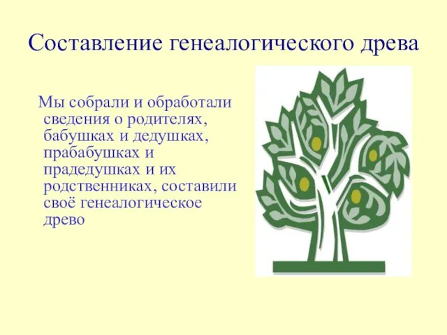 Составление генеалогического древа Мы собрали и обработали сведения о родителях, бабушках и