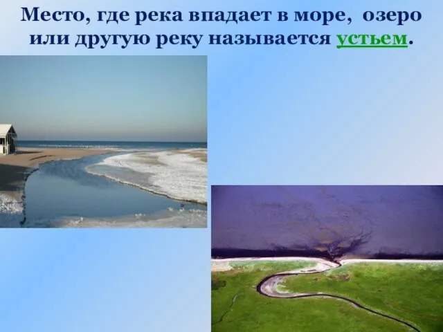 Место, где река впадает в море, озеро или другую реку называется устьем.