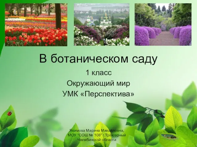 Презентация на тему В ботаническом саду