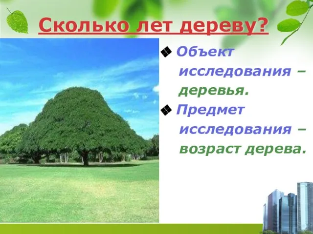 Сколько лет дереву? Объект исследования – деревья. Предмет исследования – возраст дерева.