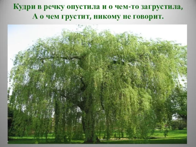 Кудри в речку опустила и о чем-то загрустила, А о чем грустит, никому не говорит.