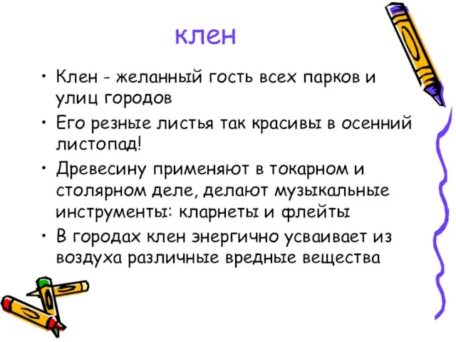 клен Клен - желанный гость всех парков и улиц городов Его резные