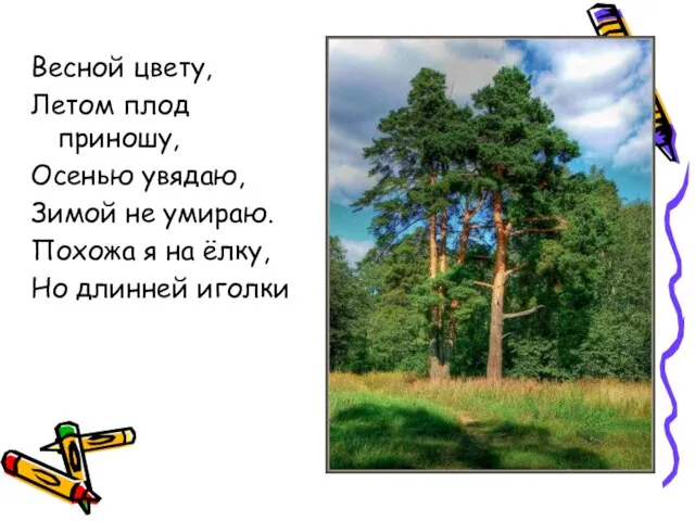 Весной цвету, Летом плод приношу, Осенью увядаю, Зимой не умираю. Похожа я