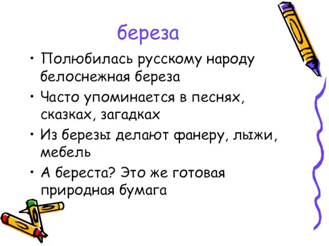 береза Полюбилась русскому народу белоснежная береза Часто упоминается в песнях, сказках, загадках