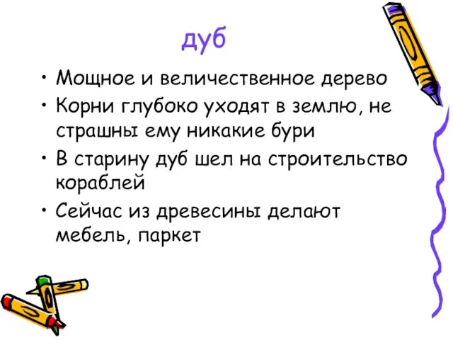 дуб Мощное и величественное дерево Корни глубоко уходят в землю, не страшны