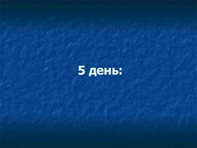 5 день: