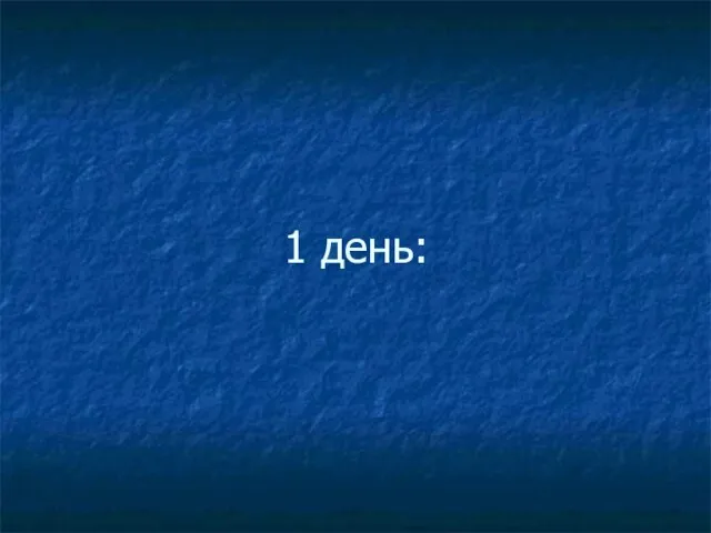 1 день: