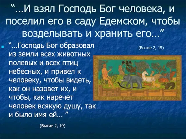 “…Господь Бог образовал из земли всех животных полевых и всех птиц небесных,