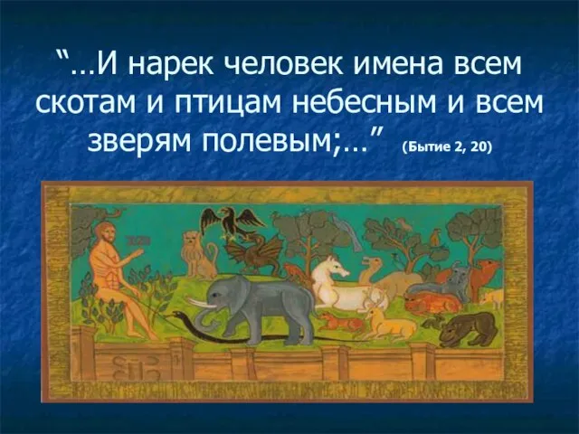 “…И нарек человек имена всем скотам и птицам небесным и всем зверям полевым;…” (Бытие 2, 20)