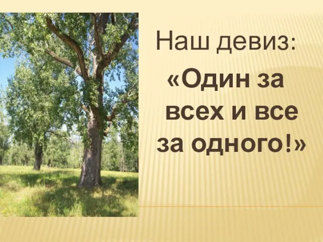 Наш девиз: «Один за всех и все за одного!»