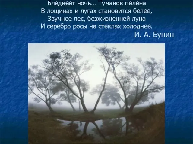 Бледнеет ночь… Туманов пелена В лощинах и лугах становится белее, Звучнее лес,