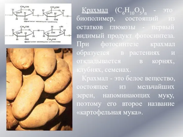 Крахмал (C6Н10О5)n - это биополимер, состоящий из остатков глюкозы - первый видимый