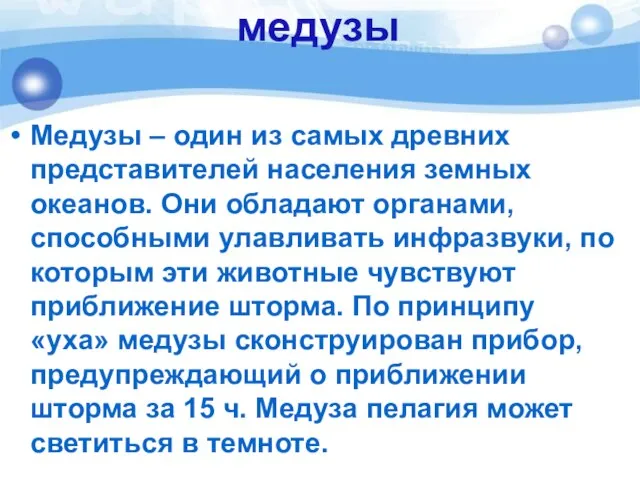 медузы Медузы – один из самых древних представителей населения земных океанов. Они