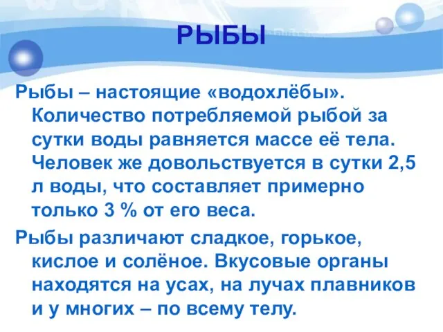 РЫБЫ Рыбы – настоящие «водохлёбы». Количество потребляемой рыбой за сутки воды равняется