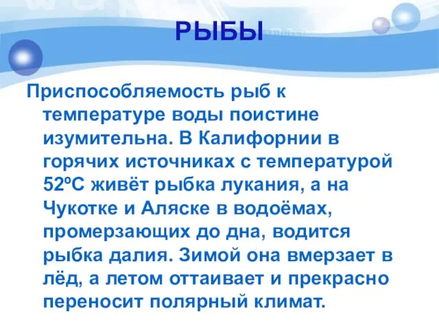 РЫБЫ Приспособляемость рыб к температуре воды поистине изумительна. В Калифорнии в горячих