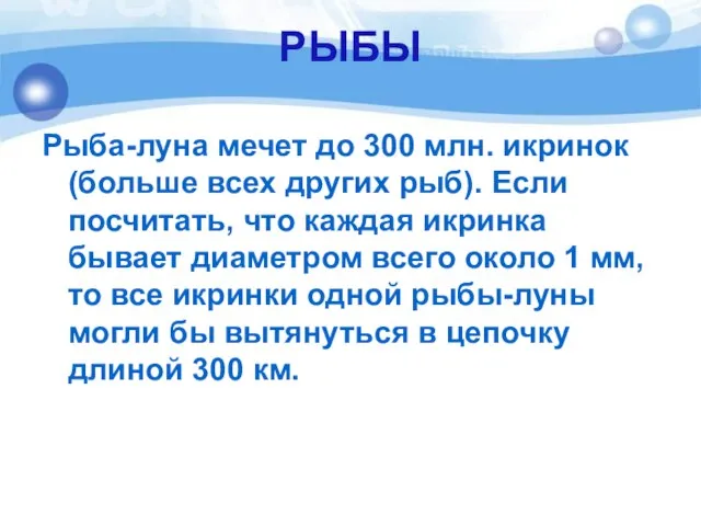 РЫБЫ Рыба-луна мечет до 300 млн. икринок (больше всех других рыб). Если