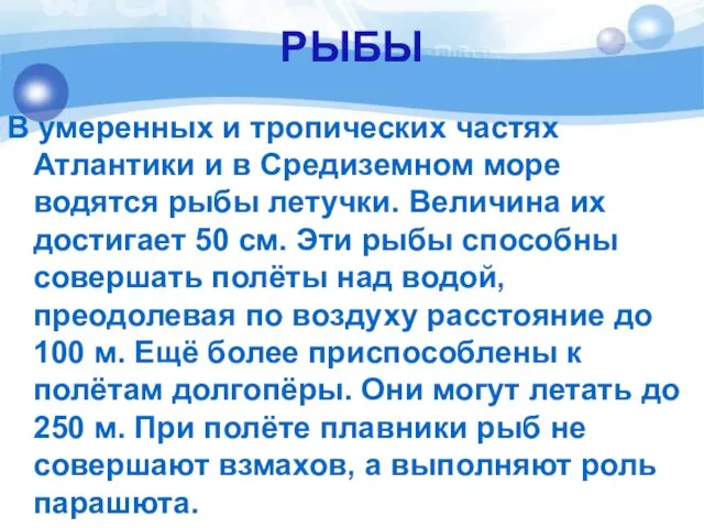 РЫБЫ В умеренных и тропических частях Атлантики и в Средиземном море водятся