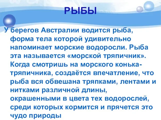 РЫБЫ У берегов Австралии водится рыба, форма тела которой удивительно напоминает морские