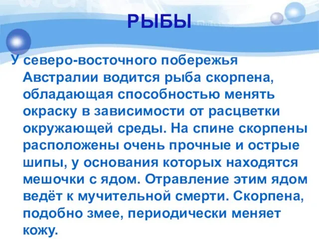 РЫБЫ У северо-восточного побережья Австралии водится рыба скорпена, обладающая способностью менять окраску