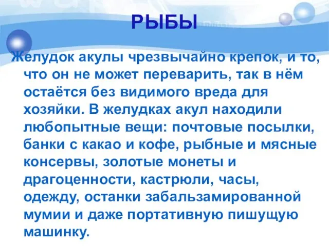 РЫБЫ Желудок акулы чрезвычайно крепок, и то, что он не может переварить,