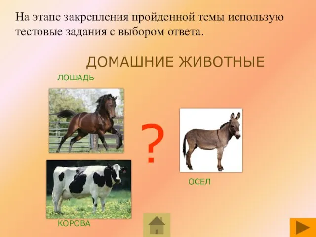 ЛОШАДЬ ОСЕЛ КОРОВА ? ДОМАШНИЕ ЖИВОТНЫЕ На этапе закрепления пройденной темы использую